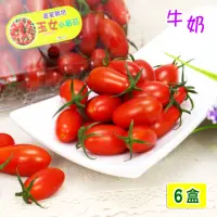 在飛比找momo購物網優惠-【愛蜜果】溫室玉女牛奶小蕃茄6盒(600克/每盒)