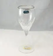 Cristal d'Arques Crystal CAPELLA PLATINUM Wine Goblet(s) NEW NWOB