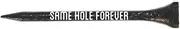 GO FROZEN Same Hole Forever Golf Tee-Bachelor Golf Tees-Stag Party Favors/Gag Gifts-25 Pack