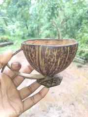 Eco-friendly Coconut Shell handmade tea coffee Original natural water Cups