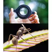 Macro Insect Photography Micro Macroscopic Lens Magnifying Glass Adapter Raynox