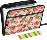 Expandable File Jackets 13 Pockets A4 Letter Size with Zipper Closure for School Home Office Classroom Peach Strawberry Flower expando