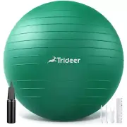 Exercise Ball for Physical Therapy, Swiss Ball Physio Ball for Rehab Exercise...