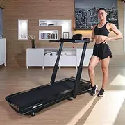 XTERRA Fitness WS300 WalkSlim Folding Treadmill