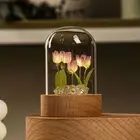 HG Tulip Night Lights Tableside LED Tulip Ambient Lights Decorative Tulip Lamp O