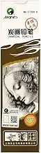 12 soft sketching pencils, sketching charcoal, painting art students charcoal