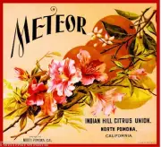 Pomona Meteor Flowers Orange Lemon Crate Label Print