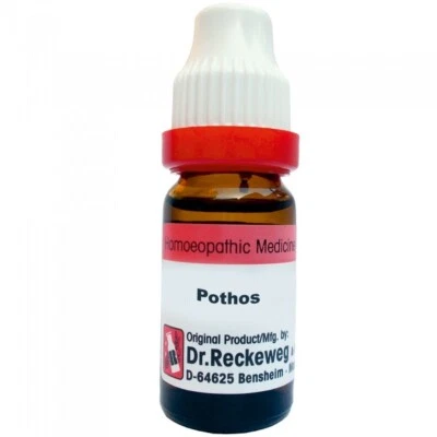 Dr. Reckeweg Pothos Foet. Dilutions 6CH 30CH 200CH 1M FREE SHIPPING