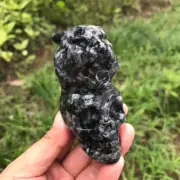1pc Natural Shellstone Quartz Carved Tiger Skull Crystal Reiki Healing Gem