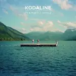 KODALINE / IN A PERFECT WORLD (VINYL)