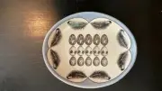 Laura Zindel Egg & Feather Small Serving Dish NEW