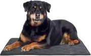 Durable Chew Proof Dog Bed Tough Indestructible Dog Crate Mat for Aggressive
