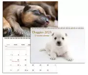 2025 Spiral-bound Wall Calendar (Puppies Dogs) - 12 Months Desktop / Wall Calend
