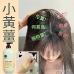 爆款熱銷【KEVIN小鋪】生薑洗髮精 何首烏洗髮精 側柏葉洗髮精 680ML 清潔毛髮頭皮 防止髮絲斷裂 使頭髮呈現豐厚