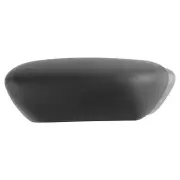 Front Left Running Board End Cap for Ford F-150 (for: Ford)