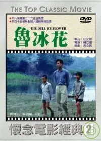 在飛比找博客來優惠-魯冰花 DVD