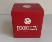 Boxbollen Focus Training MMA Gear Punching Fitness Game w/ QR Code (B2)