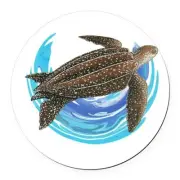 BROWN SEA TURTLE OCEAN pendant Sterling 925 Silver plated 18" necklace Gift mom