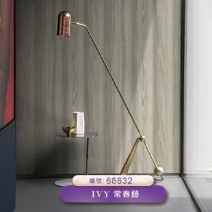 【IVY常春藤】環保無毒 防燃耐熱53X1000cm自然系木紋壁紙