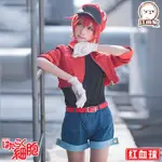 【貓次元】工作細胞COSPLAY紅血球 COS服大全套假髮鞋子