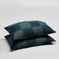 在飛比找momo購物網優惠-【飛航模飾】哈利波特授權 頂級60支天絲枕頭套X2入(多色可
