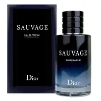 在飛比找Yahoo奇摩購物中心優惠-Dior 迪奧 SAUVAGE 曠野之心香氛100ml (專