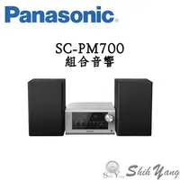 在飛比找蝦皮商城優惠-Panasonic 國際牌 SC-PM700 組合音響 床頭