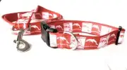 Dolphins NRL Dog Collars and Leads - New 2023