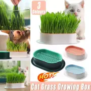 Cat Grass Cultivation Bowl Catnip Planting Box CatGrass Growing Box without Seed