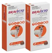 Bravecto Flea & Tick Tablets for Small Dogs 4.5-10 kg - Orange - 2 Tablets (6 months)