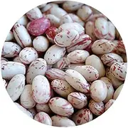 Dried Cranberry Beans (Borlotti Beans) – 450g