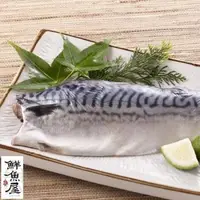 在飛比找森森購物網優惠-鮮魚屋 嚴選正宗挪威薄鹽鯖魚(2L)220g*16片