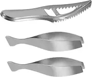 1 Set Fish Cleaning Tool Fish Scraper Remover Kitchen Gadgets for Home Picnic Lightweight Portable Housewarming Present