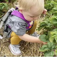 在飛比找蝦皮購物優惠-英國trunki toddlepak 防走失背帶防丟防摔學步