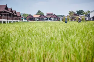 蘇梅島農夫精品度假村Farmer's Boutique Resort Koh Samui