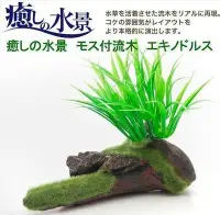 在飛比找Yahoo!奇摩拍賣優惠-微笑的魚水族☆日本GEX-五味【水草流木(大) #15150