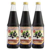 在飛比找momo購物網優惠-【Beutelsbacher】黑醋栗果汁 700ml*3瓶(