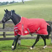 WeatherBeeta ComFiTec Classic Standard Neck Turnout Sheet (0g Lite)