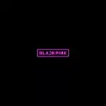 BLACKPINK / JAPAN DEBUT MINI ALBUM [豪華初回限定盤] (日本進口版)