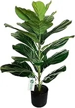 BESAMENATURE Artificial Fiddle Leaf Fig Tree/Faux Ficus Lyrata for Home Decor, 30" Tall, Green