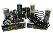 New! Mercedes-Benz C230 Bilstein Front Coil Springs 37-133719 2033213904
