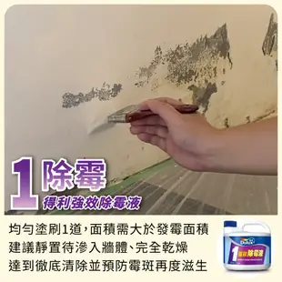 【Dulux得利】1.5坪 全效合一乳膠漆+壁癌包組合