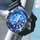 SEIKO 精工 PROSPEX系列 DIVER SCUBA 防水200米 潛水機械腕錶 (SRPC91J1/4R36-05H0A)