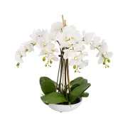 Glamorous Fusion Phalaenopsis Orchid Artificial Plant Flower Decorative 60cm White Bowl - White