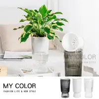 在飛比找PChome24h購物優惠-MY COLOR 歐式古典自吸水盆栽 (24cm) 自動吸水