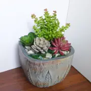 Set of 6 Pcs Artificial Plant Snow Ball Succulents Grass (M38)