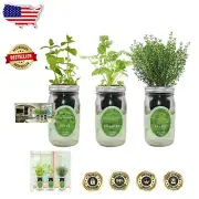 Self-Watering Indoor Herb Garden Starter Kit – Grow Mint, Cilantro & Thyme