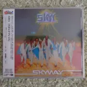 Salsoul Sky Skyway 3