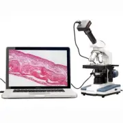 AmScope 2000X Double Layer Mechanical Stage LED Compound Microscope +10MP Camera