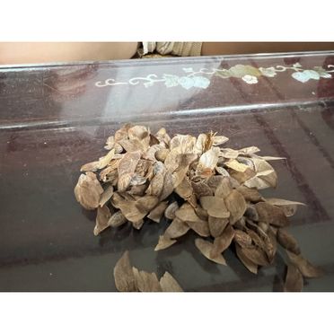 全日本送料無料 五葉松種子加工食品 その他 - htii.edu.kz